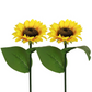 🔥2025 Hot Sale🔥Lampes solaires à LED pour jardin en forme de tournesol🌻