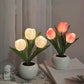 Lampe de Table LED Tulipe – Lampe de Nuit Fleur