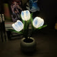 Lampe de Table LED Tulipe – Lampe de Nuit Fleur